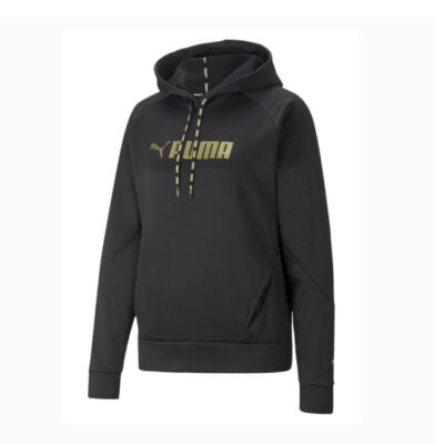 FIT POWER FLEECE PO HOODIE