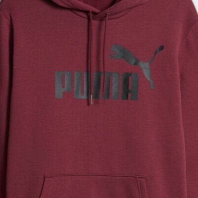 ESS BIG LOGO HOODIE - Image 3