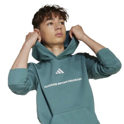 B FL HD - Image 5