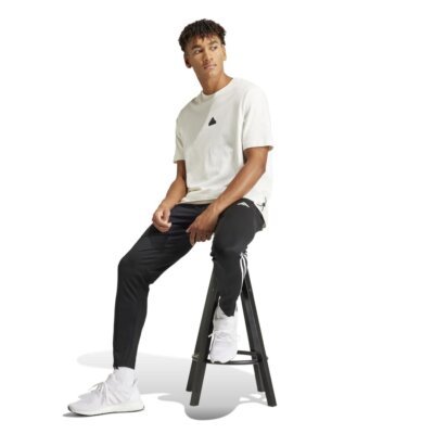 M SERENO PT - Image 4