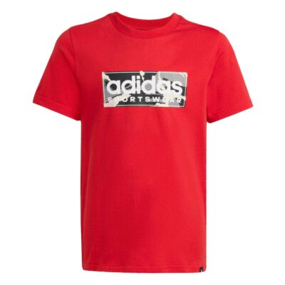 B CAMO LIN - Image 6