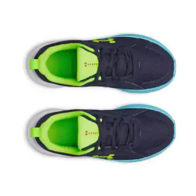 BGS Assert 11 - Image 5