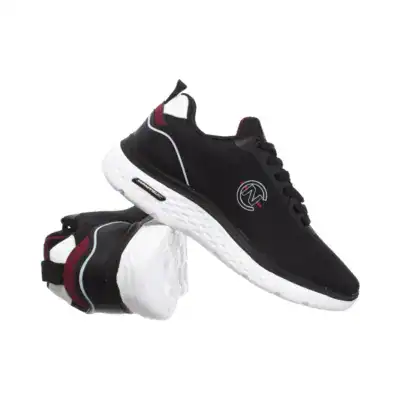 PAUL - Image 4
