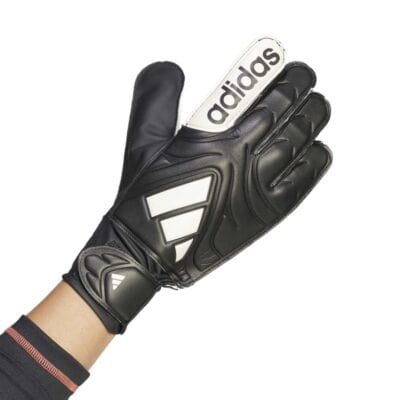 COPA GL CLB - Image 6